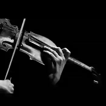 Violinistas para bodas y eventos elegantes